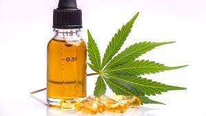 CBD Oil In Italy