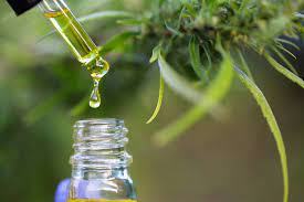 Cbga And CBD Oil