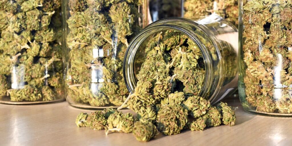 Medical Cannabis vs. Recreational Cannabis What’s the Difference