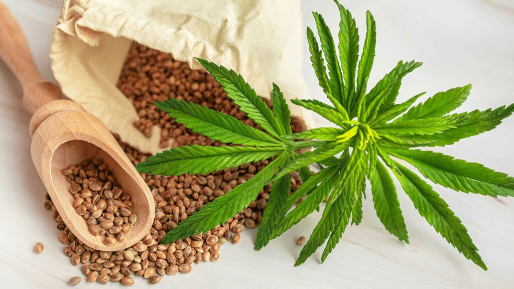 Cannabis and brain