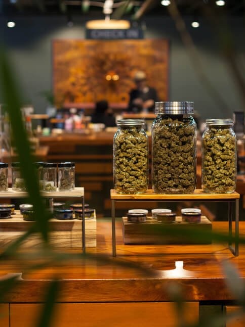 Cannabis Dispensary Guide